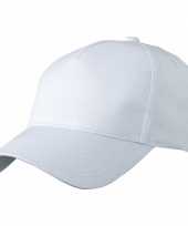 10x stuks 5 panel baseball pet petje in de kleur wit